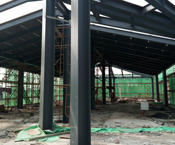 �V���F��